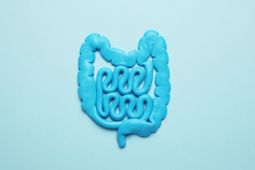 Some home truths on “leaky gut” (and why it’s time to expand the conversation beyond gluten)