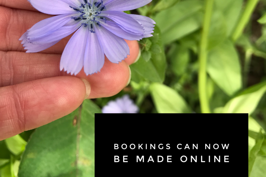 Is Naturopathy still considered fringe? (Also, ONLINE BOOKINGS NOW AVAILABLE!)